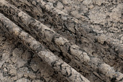 Seamless Ground Textures - Mixed, a Texture Graphic by Arthitecture Home (Thumbnail 6 of 11)