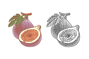Fresh, ripe figs