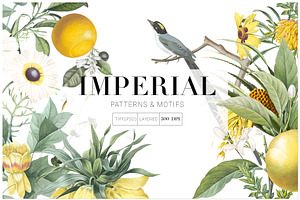 Imperial, Exquisite Pattern & Motifs