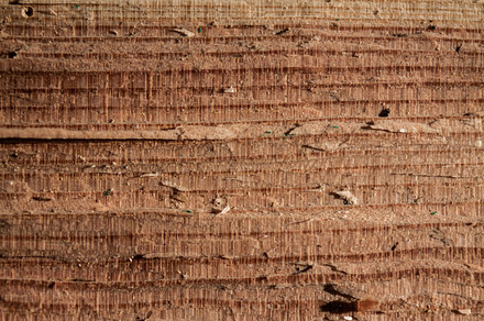 Wood texture part 2 XXX preview 6