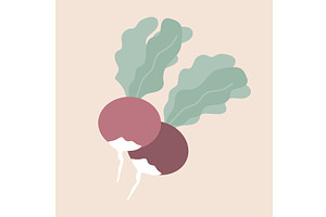 Two radish flat vector illustration, a Food Illustration by Toltemara