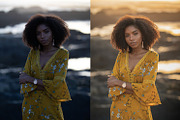 Andrea Portrait Presets, a Plug-in Add-On by Vanartist Presets (Thumbnail 4 of 7)