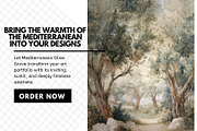 30+ Mediterranean Olive Grove Bundle, a Decorative Illustration by Virgo Studio (Thumbnail 6 of 6)