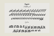 Blackbird - Script Typeface, a Script Font by overlaytemplates (Thumbnail 5 of 7)