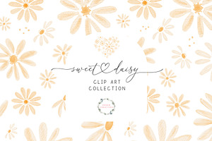 Watercolor Daisy Clipart Floral Card