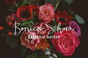 Famous Voice - Casual Signature, a Handwritten Font by tebaltipislab (Thumbnail 3 of 8)