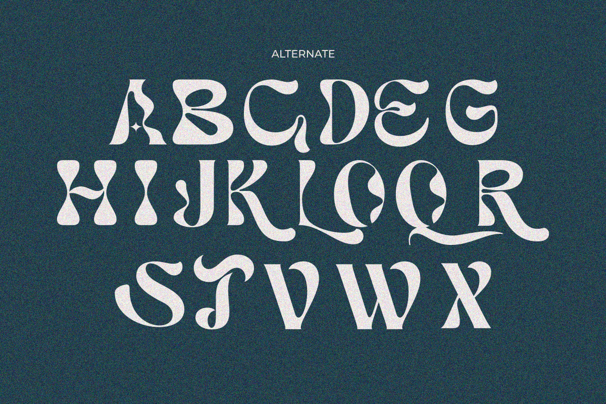 Zelqa, a Serif Font by zaaintype (Photo 5 of 8)