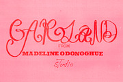 Garland Hand Drawn Ornamental Font, a Handwritten Font by Madeline ODonoghue Design (Thumbnail 4 of 9)