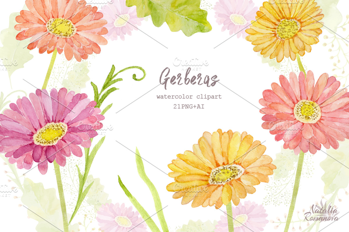 Watercolor set of gerbera flowers, a Decorative Illustration by BrushArtDesigns (Photo 4 of 9)