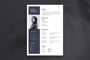 Elegant Resume CV