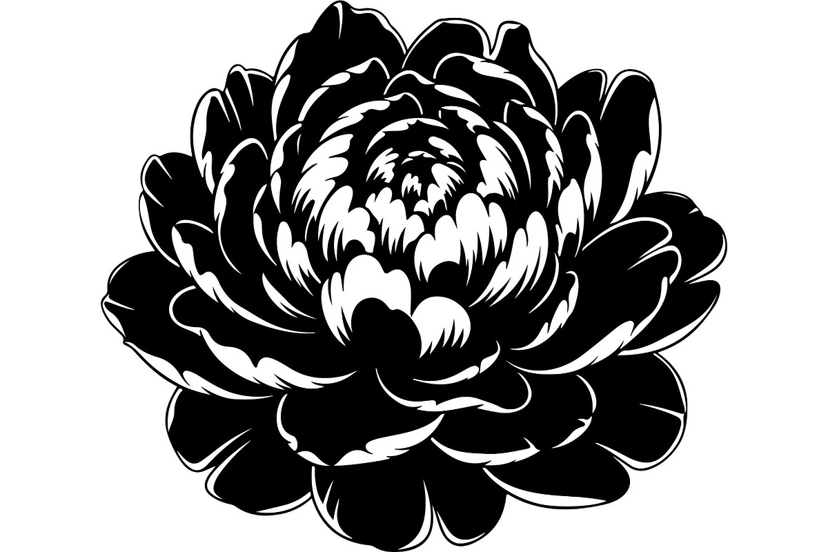 Peony Flower Silhouette, an Object Graphic by Designer_Momina (Photo 16 of 18)