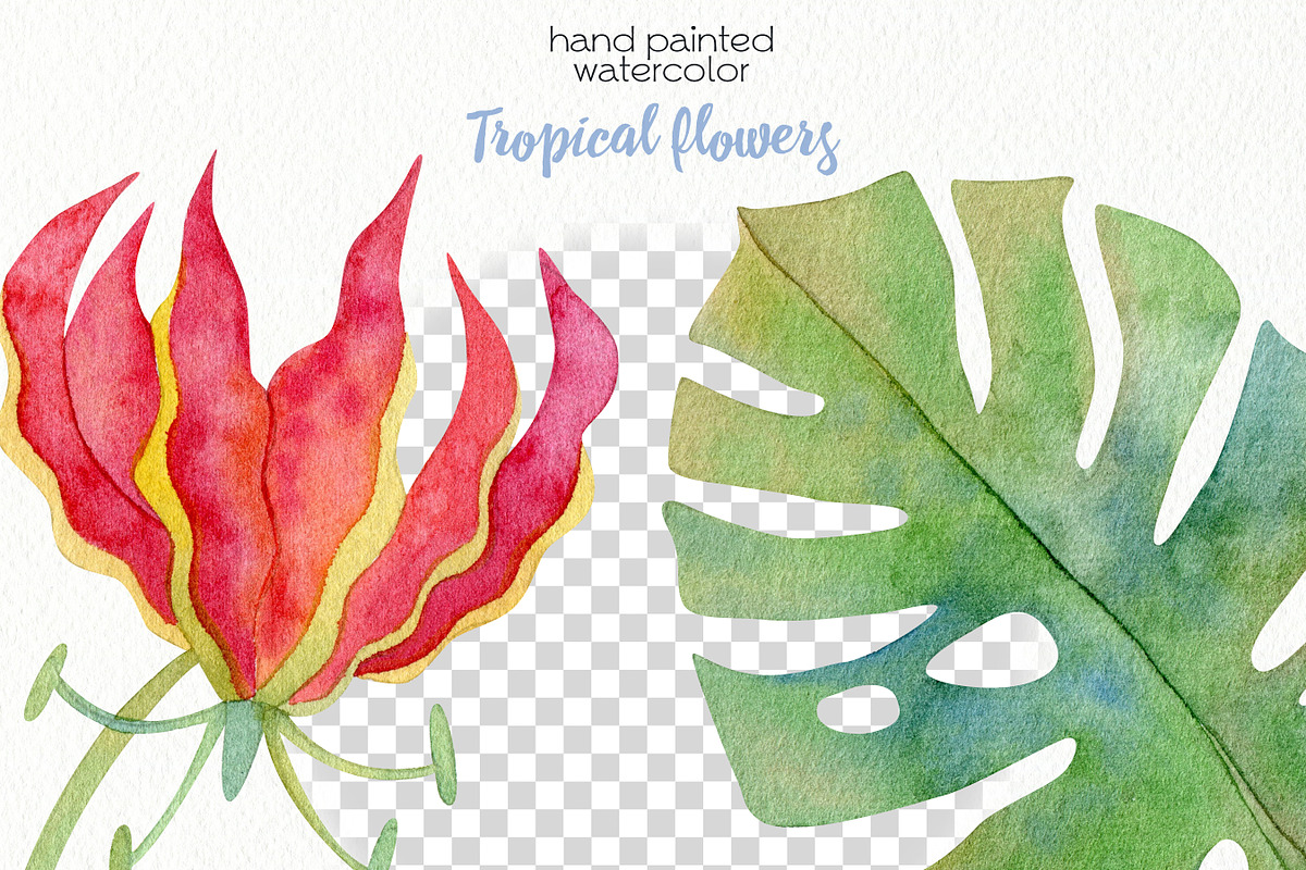 Watercolor Tropical Clipart, a Food Illustration by OllyKo Art (Photo 8 of 8)