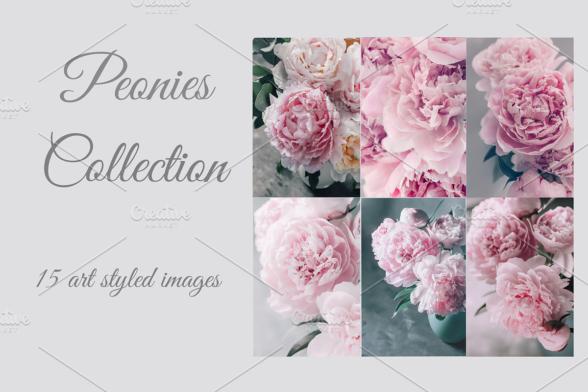 Pink Peonies Collection, an Arts & Entertainment Photo by Anntuan (Photo 1 of 10)