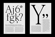 Silk Serif Text - 14 Font Family, a Serif Font by Silktype (Thumbnail 2 of 14)