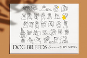 30 Dogs line art. Dog breeds, an Animal Illustration by velychko.ua (Thumbnail 5 of 5)