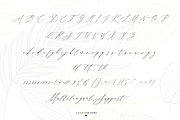Month Glade - Calligraphy Font, a Script Font by Sronstudio (Thumbnail 12 of 13)