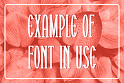 Nawarty, a Serif Font by lelevien (Thumbnail 4 of 5)