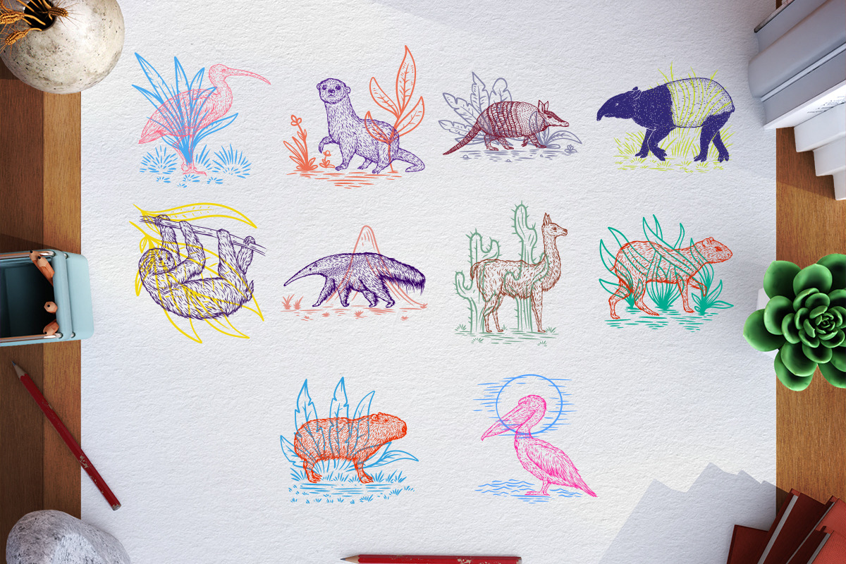 Birds and animals south america, an Animal Illustration by CGterminal (Photo 2 of 6)
