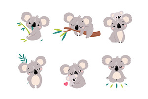 Koala Bear as Australian Animal on, an Animal Illustration by TopVectors
