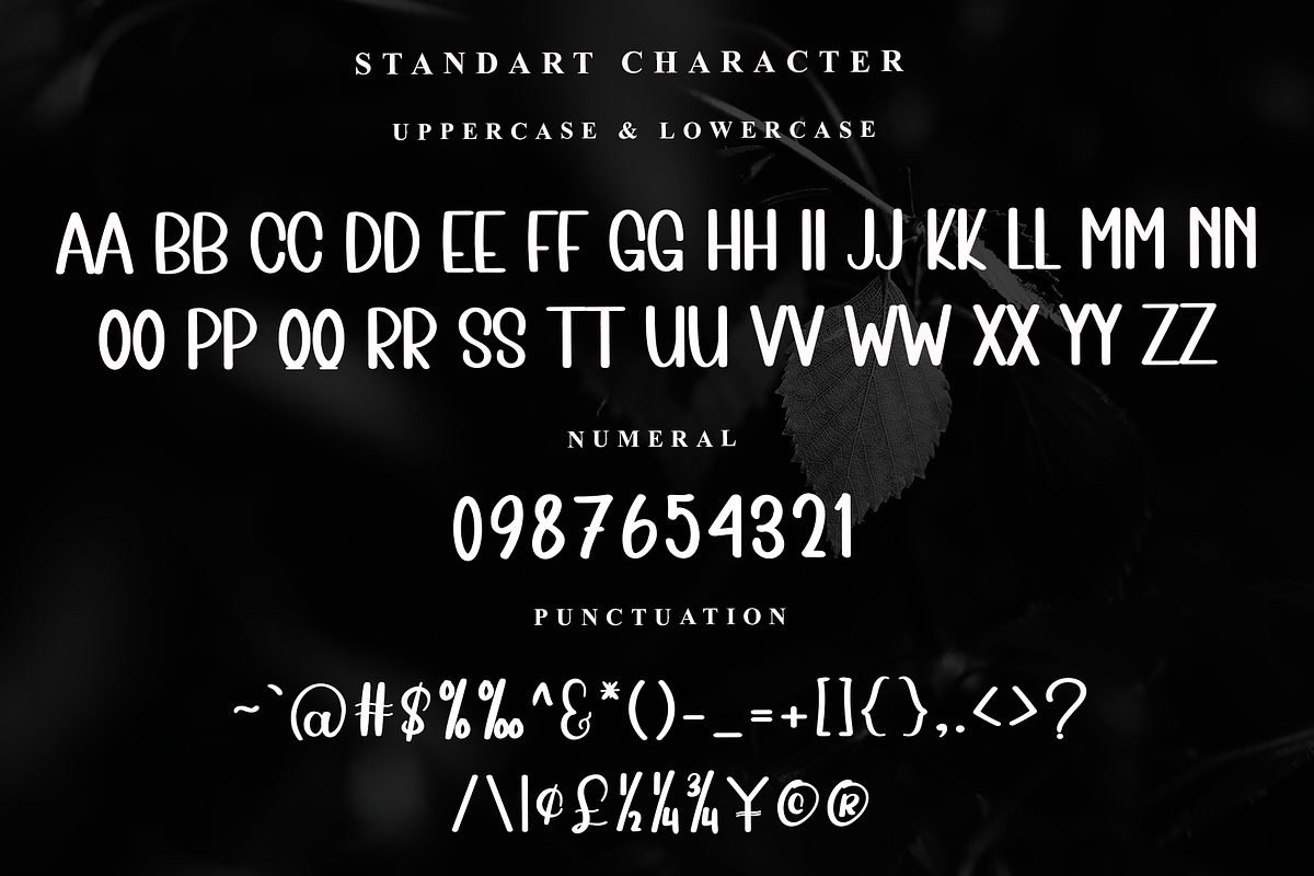 Ontime, a Serif Font by InermediaSTUDIO (Photo 3 of 7)