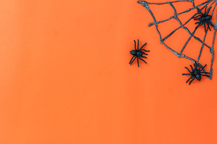 Halloween decoration background stock photo containing halloween and, a Holiday Photo by OSABEE TOP VIEW