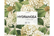 Hydrangea watercolor seamles pattern, a Pattern Graphic by Milatoo (Thumbnail 1 of 6)
