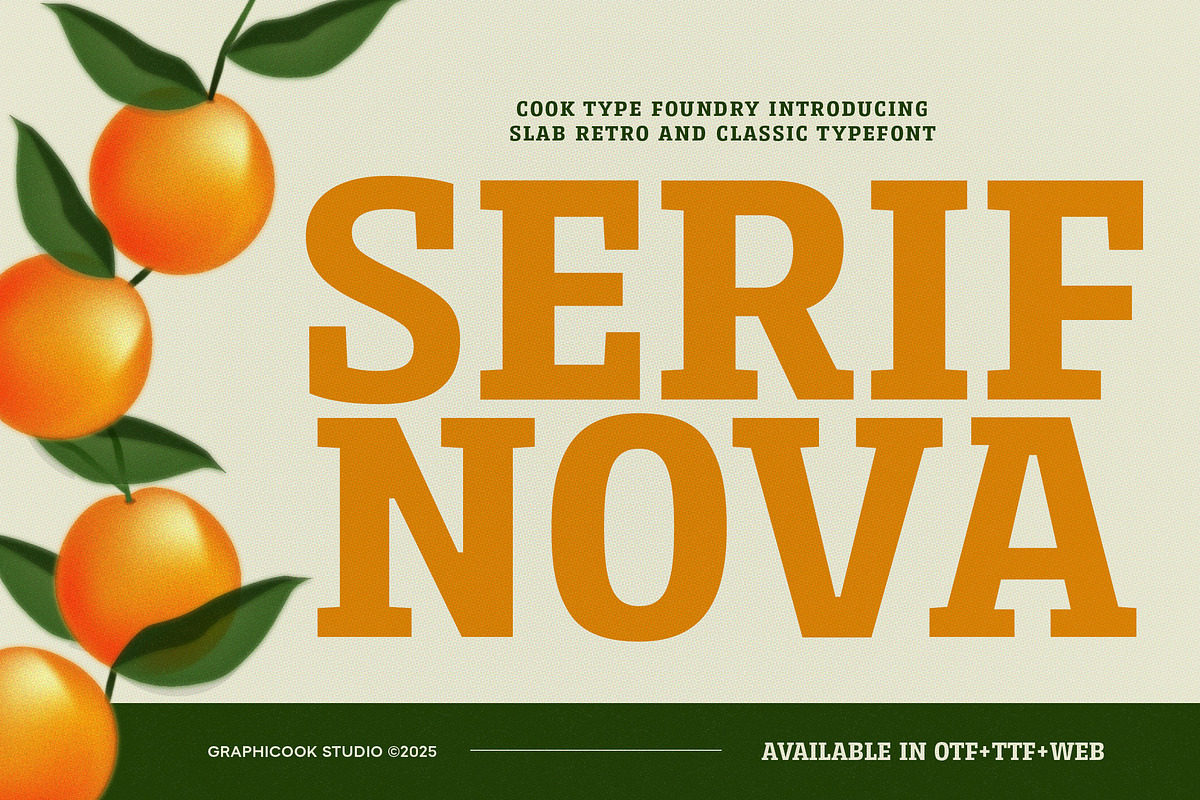 Serifnova, a Serif Font by graphicook (Photo 1 of 10)