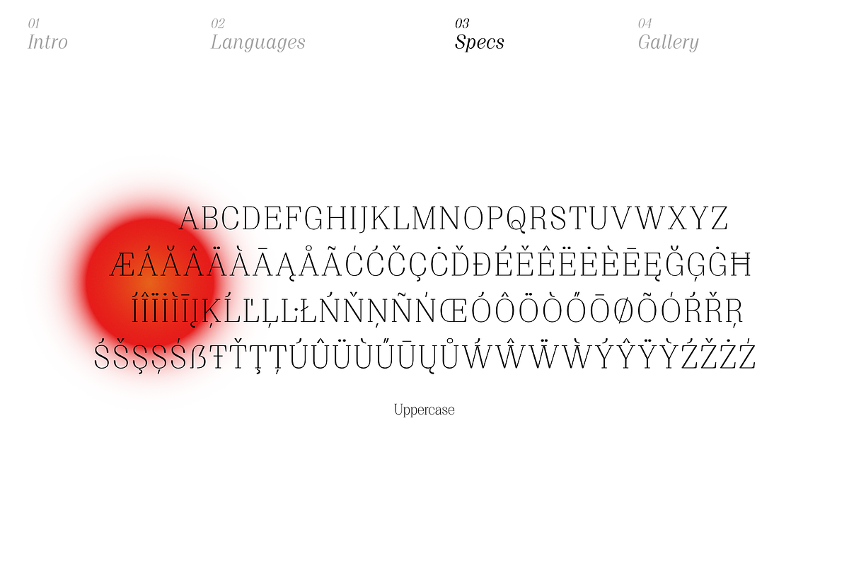 Proto Serif Light, a Serif Font by Bukva™ Type Foundry (Photo 5 of 13)