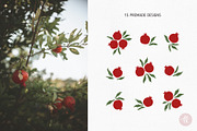 Pomegranate Fruit Clipart Set, an Object Graphic by Alena Koval (Thumbnail 4 of 16)