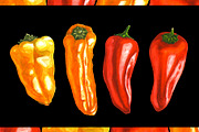 Hand-drawn Watercolor Mini Peppers, a Decorative Illustration by Margo Miller (Thumbnail 3 of 17)