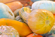 Fall Pumpkin Stock Bundle, a Holiday Photo by r.r.palacios (Thumbnail 7 of 15)
