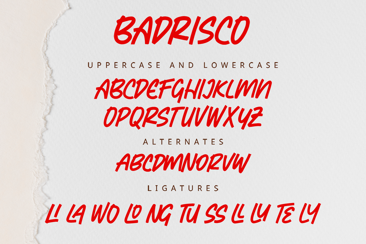 Badrisco - A Display Font, a Sans Serif Font by overlaytemplates (Photo 4 of 5)