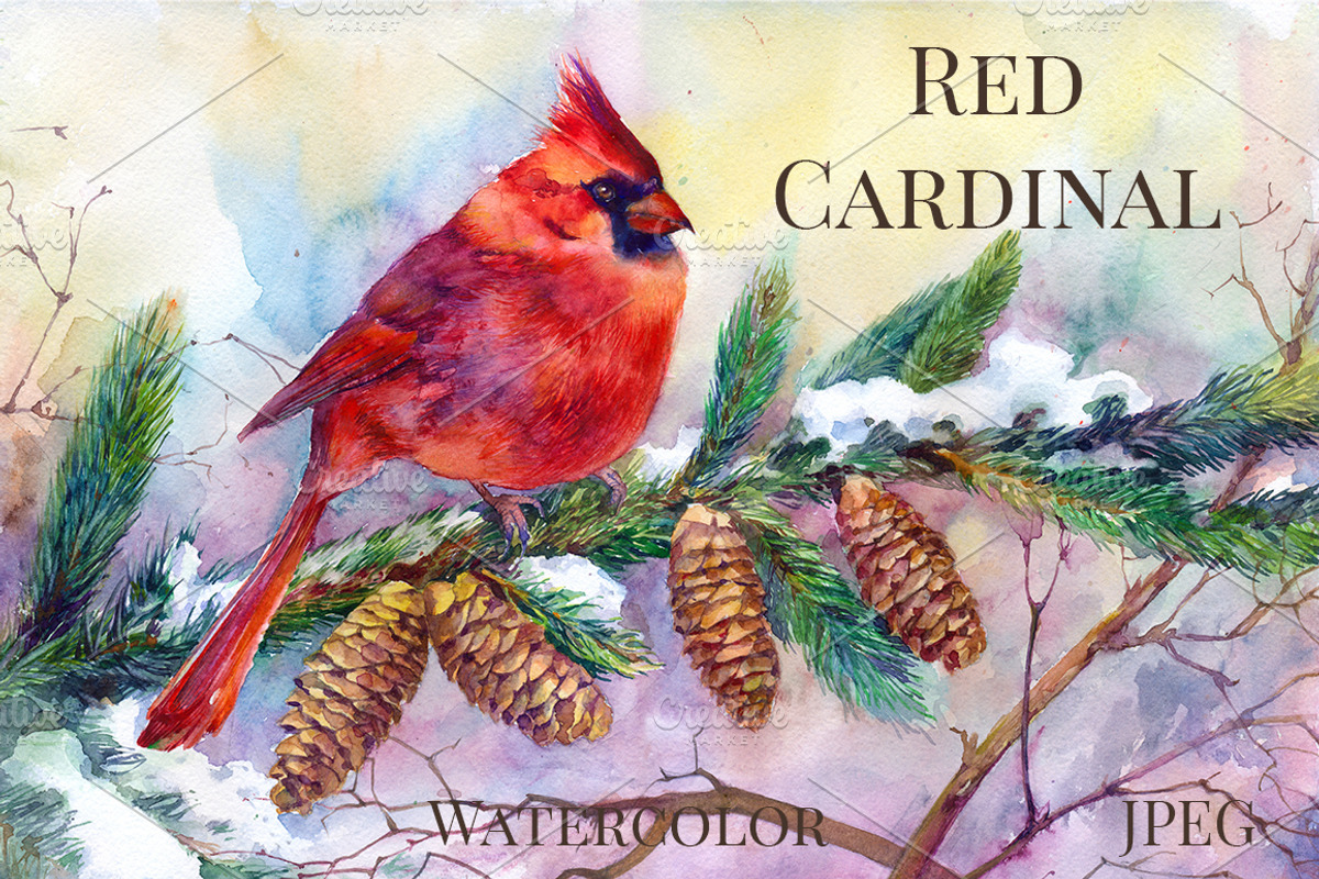 The northern cardinal redbird, a Texture Illustration by MaryAmi (Photo 1 of 3)