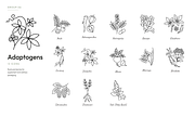 180 Botanical Ingredient Line Icons, an Outline Icon by Ilia Design (Thumbnail 9 of 13)