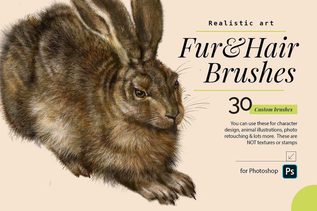 Realistic Fur & Hair Brushes, a Brush Add-On by ZiziMarket (Photo 1 of 7)