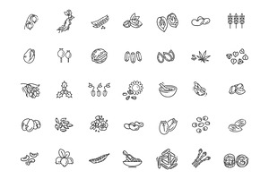 Plant Seed and Nuts vector icon set, an Object Illustration by Tettygreen