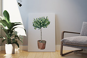 SALE! Watercolor DECORATIVE TREES, a Decorative Illustration by Julia Bogdan (Thumbnail 4 of 4)