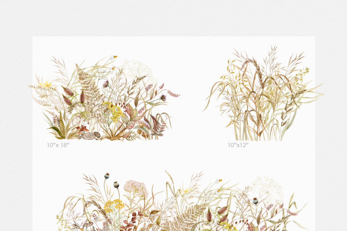 Wildflower fall watercolor clipart, a Decorative Illustration by ReachDreams (Photo 6 of 10)