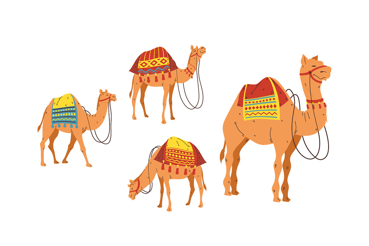 Decorative Camel Illustration Set preview 3