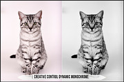 Leica Creative Controls Profiles, a Plug-in Add-On by Raztrend (Thumbnail 4 of 30)