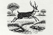 Axis Deer Wildlife Graphics, an Animal Illustration by DENIDigitalArtSudio (Thumbnail 3 of 8)