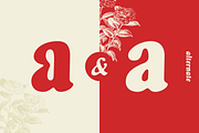 Belarin, a Serif Font by Muhammad Hastian (Thumbnail 7 of 12)