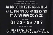 Sunday Bright, a Script Font by FreshTypeINK (Thumbnail 5 of 8)