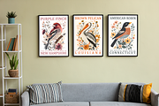 50 US State Birds Poster Bundle, a Decorative Illustration by Genius Graph (Thumbnail 5 of 6)