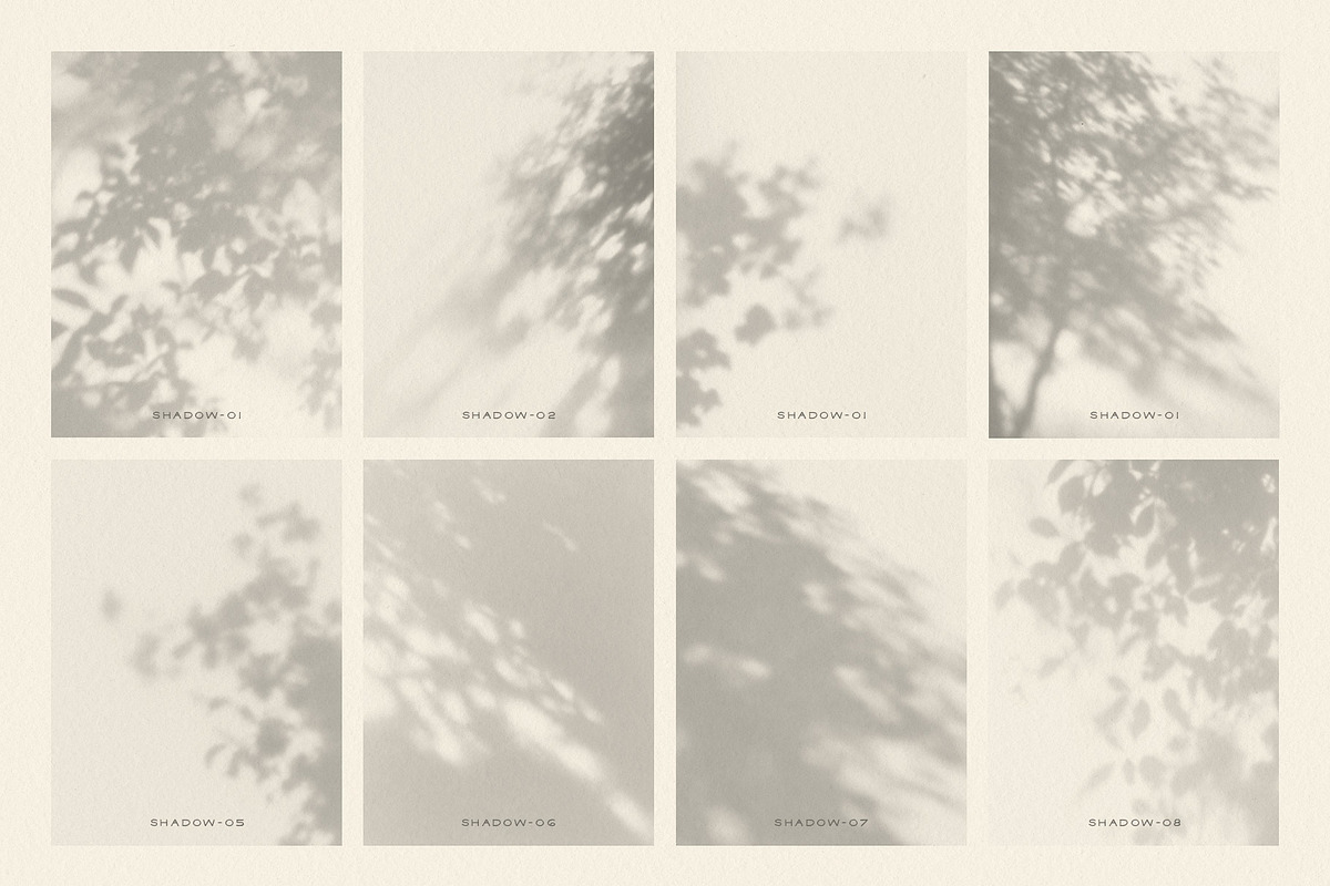 Dappled - Botanical Shadow Overlays, a Texture Graphic by alonahaidash (Photo 10 of 16)