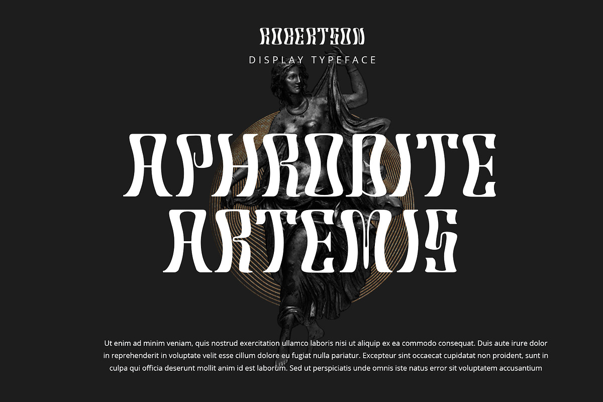 Robertson Display, a Sans Serif Font by Damelev (Photo 7 of 10)