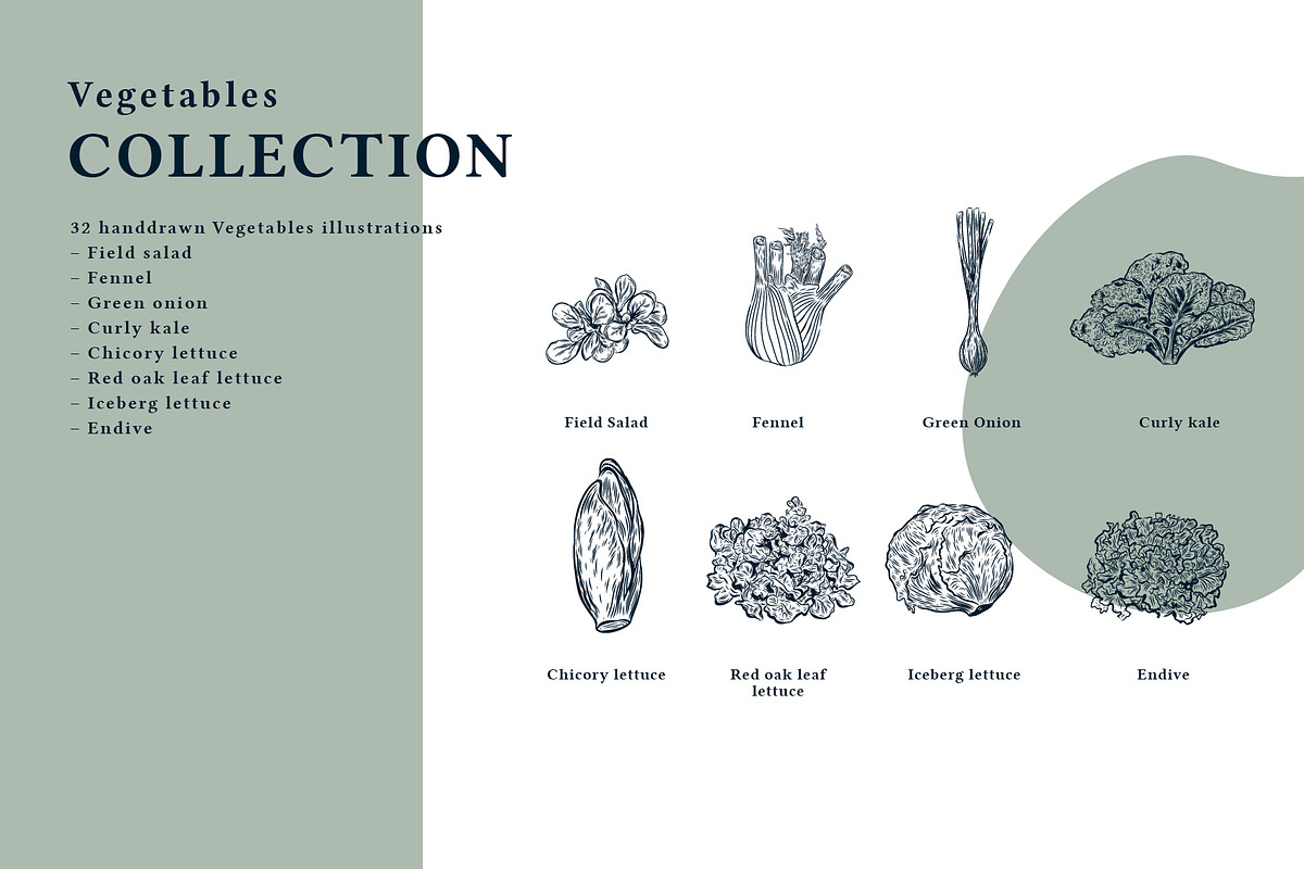 The Vegetables Collection, a Food Illustration by dicreate (Photo 4 of 14)
