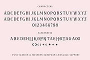 Mystic Starlight - Tarot Font, a Serif Font by Beck McCormick (Thumbnail 10 of 10)