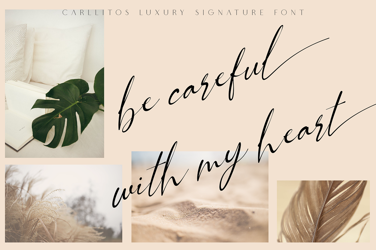 Carllitos // Luxury Signature Font preview 3