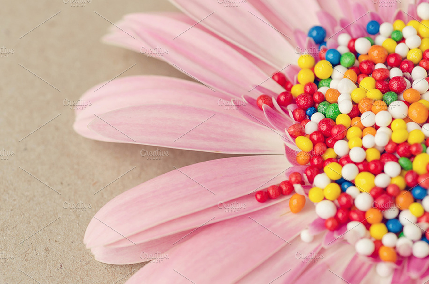 Pink Flower, Candy Cake, Colorful, a Business Photo by The LUV Stock Photos